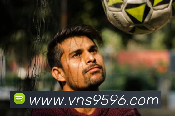 威尼斯娱乐平台平台生态图