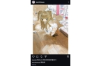 情趣用品店前韩网傻眼：又出事了冰球突破秋